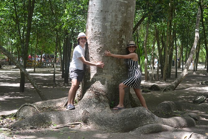 TULUM 4x1 : Archaeological Site, Cenote, 5th Avenue and lunch - Is $245.29 a fair price from Cancun?