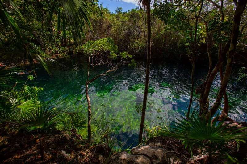 Tulum: Cenote Trail Bike Tour - How strenuous is the cycling?