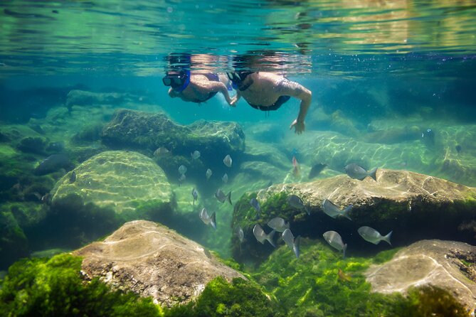 Tulum Guided Tour, Magical Cenote, Lagoon Snorkeling and Beachside Lunch - The real cost and value of the package