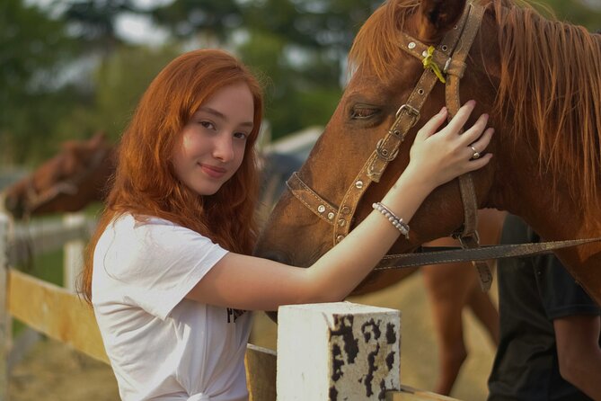 Tulum Jungle Horseback Ride + ATV + Ziplines + Cenote Combo Tour - Quick facts about this Tulum jungle adventure