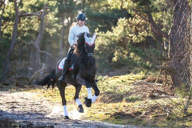 Tulum Jungle Horseback Ride + ATV + Ziplines + Cenote Combo Tour - ATV riding through the Maya jungle