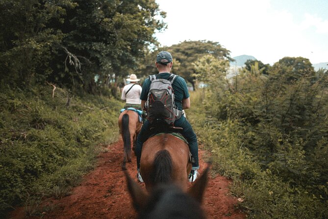 Tulum Jungle Horseback Ride + ATV + Ziplines + Cenote Combo Tour - Four ziplines, height, and a little waiting