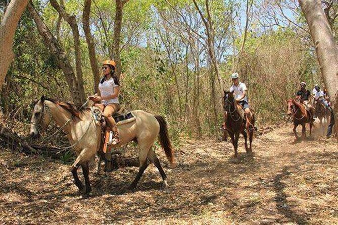 Tulum Jungle Horseback Ride + ATV + Ziplines + Cenote Combo Tour - Horseback riding is the weakest link