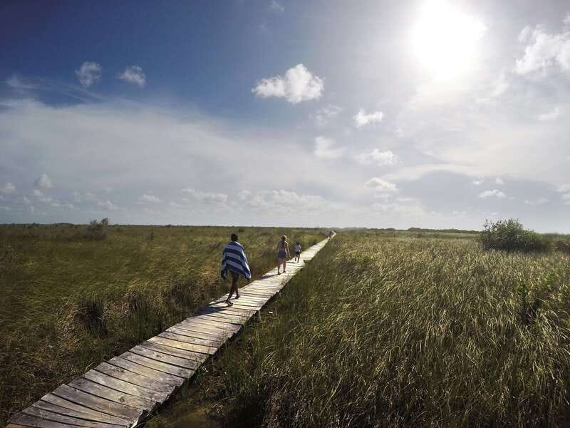 Tulum: Mayan Ruins & Sian Kaan Tour with Boat Ride and Lunch - Should you book the Tulum and Sian Kaan tour?