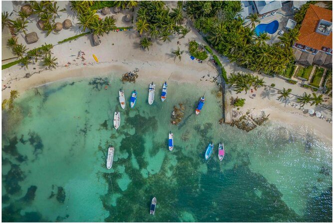 Tulum Ruins, Turtles in Akumal and Cenote tour - The five things to know before booking