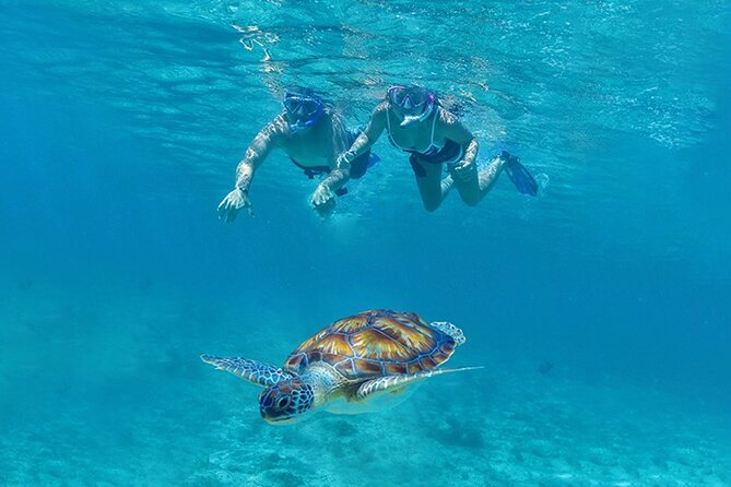Tulum, Snorkeling with Sea Turtles, Cenote and Beachside Lunch - Tulum ruins in two hours