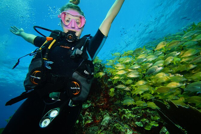 Two Reefs For Certified Divers in Cancun - Key points to know before you book