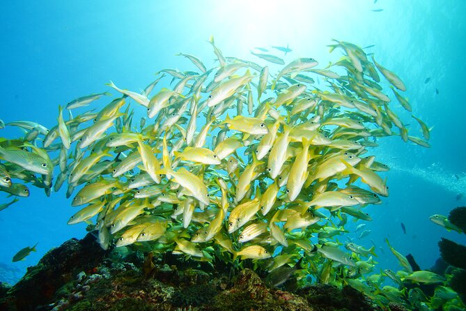 Two Reefs For Certified Divers in Cancun - The surface interval on a small boat