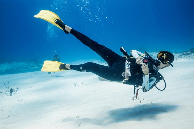 Two tanks local diving for certified divers, SCUBA gear included - Why Mahahual works well for a quick reef trip