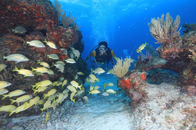 Two Tanks Scuba Diving for Beginners in Cancun - Pool training before the boat