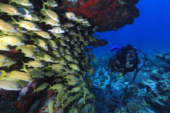 Two Tanks Scuba Diving for Beginners in Cancun - Second stop: Manchones Reef