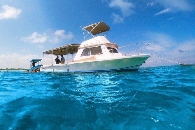 Ultimate 5x1 Combo with ATV, Ziplines, Cenote & Reef Snorkeling - One morning, two very different worlds
