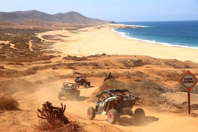 UTV 4X4 Cabo Adventure, Beach Ride & Tequila Tasting - Who will enjoy this UTV adventure most