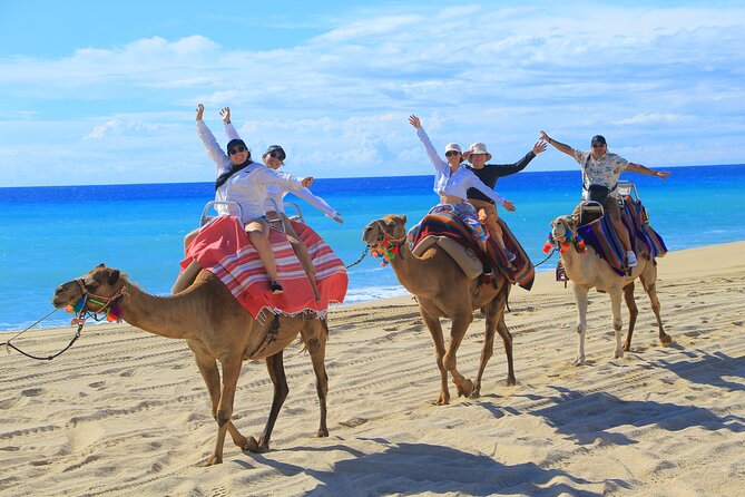 UTV Adventure with Free Camel Ride and Sky Bikes - Sky bikes and the ecological hike