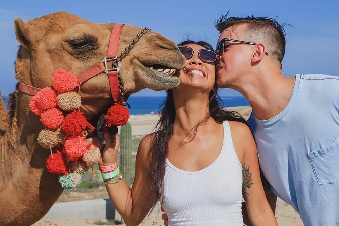 UTV Adventure with Free Camel Ride and Sky Bikes - Hotel pickup from Cabo San Lucas and San José del Cabo