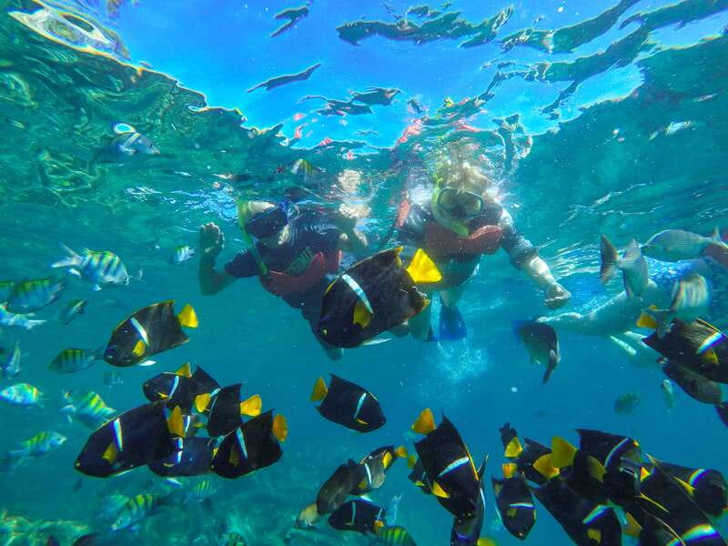 Vallarta: Yelapa Waterfall & Majahuitas Snorkel Adventure - Key points to know before you book