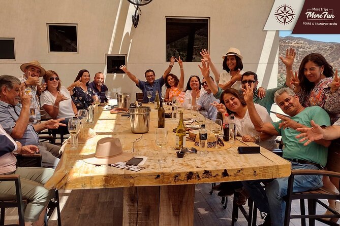 Valle de Guadalupe winery and brewery tours - Why the private van can be good value