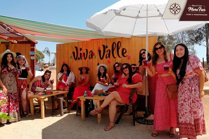 Valle de Guadalupe winery and brewery tours - Comfort, safety, and group size