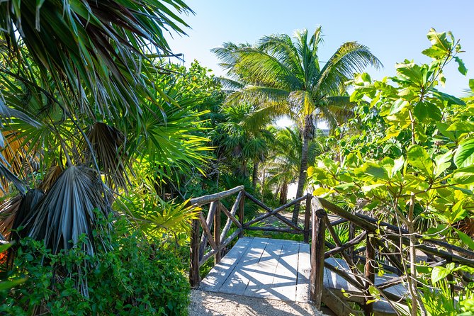 Viator Exclusive: Tulum Ruins, Reef Snorkeling, Cenote and Caves - A cool freshwater swim in the cenote caves