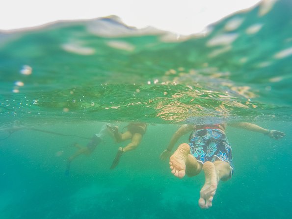 Viator Exclusive: Tulum Ruins, Reef Snorkeling, Cenote and Caves - The extra $35 fee and the value at $129