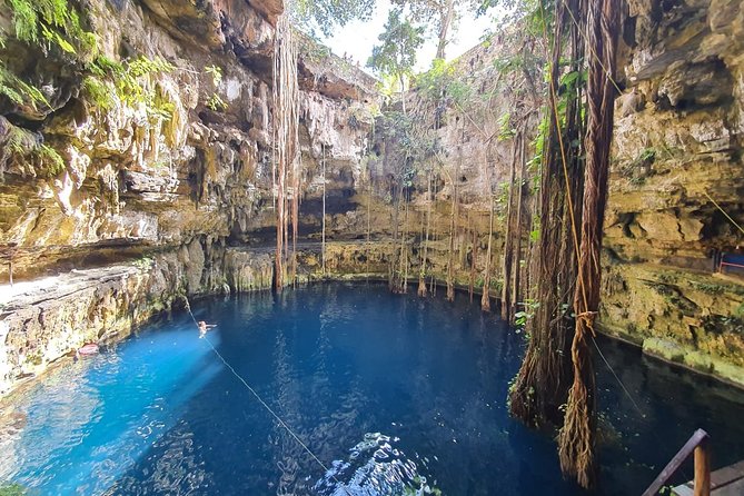 VIP Chichen Itza Private Tour - The vehicle and private service