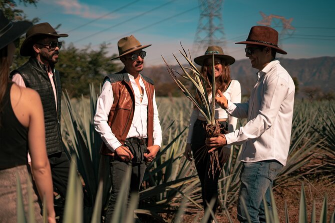 Vip Tequila Experience - Lunch in Tequila and time on your own