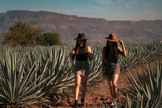 Vip Tequila Experience - Cantaritos El Güero brings a different mood