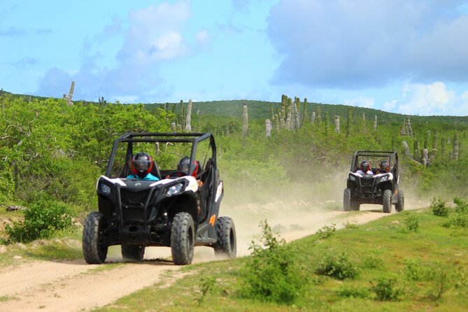 Viper Trail UTV Small-Group Experience in Cabo San Lucas - Key points to know before you book