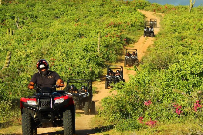 Viper Trail UTV Small-Group Experience in Cabo San Lucas - The food break: two quesadillas and seasonal water