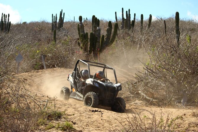 Viper Trail UTV Small-Group Experience in Cabo San Lucas - Photos, phones, and the real cost