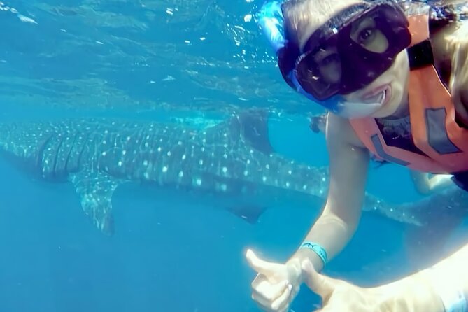 Whale Shark Adventure in Isla Mujeres and Cancun - Lunch, ceviche, and the return stop