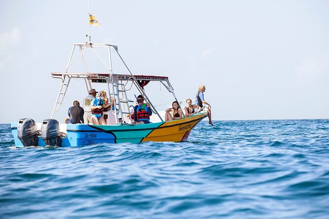 Whale Shark and Snorkeling Adventure from Isla Holbox - Santa Paula and the fresh ceviche lunch