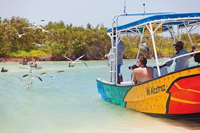 Whale Shark Group Adventure from Isla Holbox - Ceviche at Boca Santa Paula