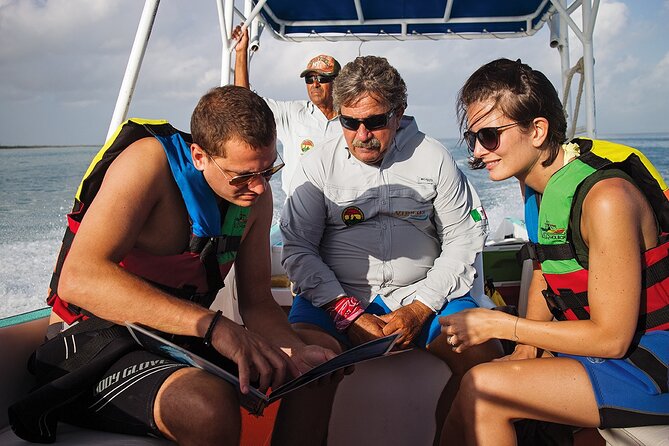 Whale Shark Group Adventure from Isla Holbox - Is $203.12 a fair price?