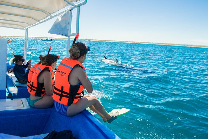 Whale Shark snorkeling tour in a reduced group with local marine biologist - The Marine Biologist Makes the Difference