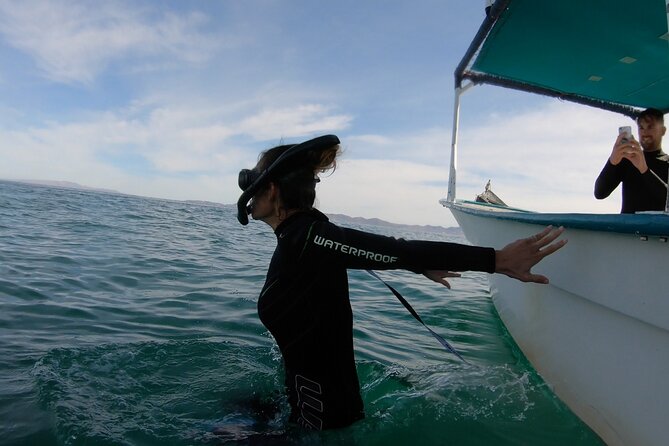 Whale Shark Swimming Adventure: Small Group with Marine Biologist - Searching for the tell-tale signs of a shark