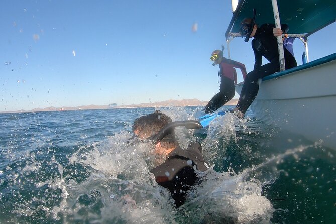 Whale Shark Swimming Adventure: Small Group with Marine Biologist - Weather, seasickness, and physical effort