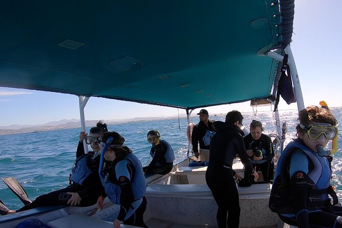 Whale Shark Swimming Adventure: Small Group with Marine Biologist - Learning the rules before entering the water