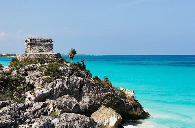 Whale Shark Tour from Cancun, Playa del Carmen, Tulum and Riviera Maya - Key points to know before you book