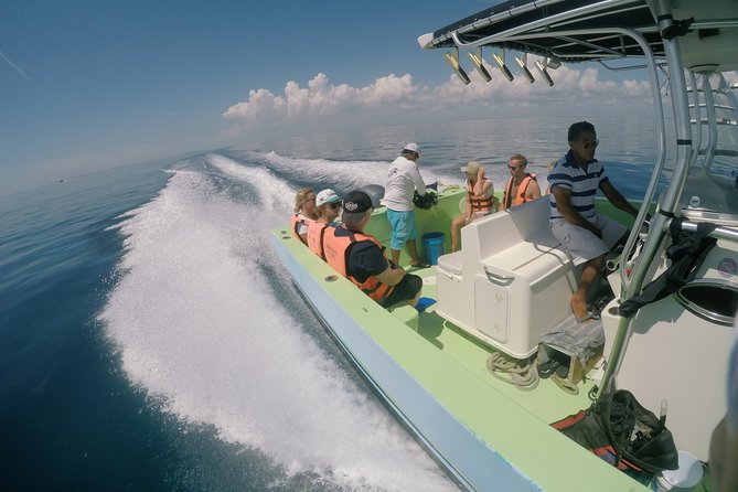 Whale Shark Tour from Cancun, Playa del Carmen, Tulum and Riviera Maya - Reef snorkeling after the main event
