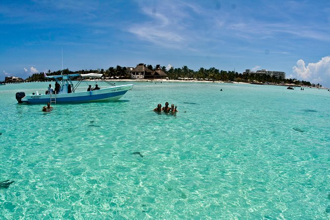 Whale Shark Tour from Cancun, Playa del Carmen, Tulum and Riviera Maya - Who should book this trip
