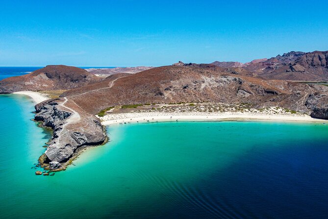Whale sharks and sea lions snorkeling plus Balandra beach lunch - Key points at a glance