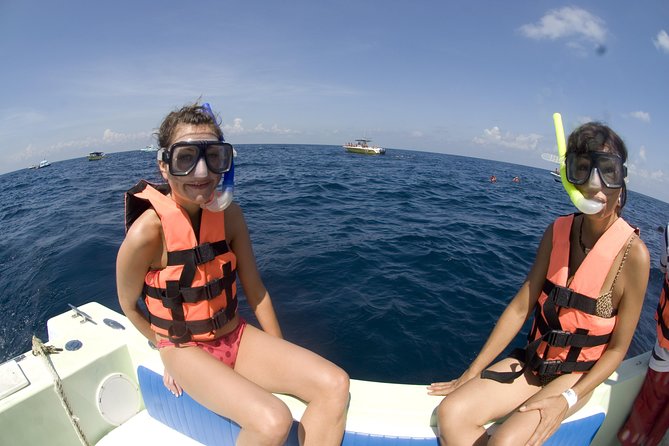 Whale Sharks Small-Group Tour in Cancun and Riviera Maya - The Search Is Part of the Risk