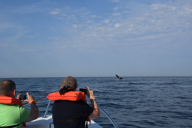 Whale Watching Adventure – Led by a Marine Biologist - Hearing humpback whales through the hydrophone