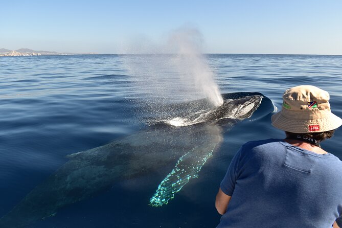 Whale Watching Cabo-Women crew-Sightings Guaranteed & Free Photos - Boarding near Breathless Cabo San Lucas