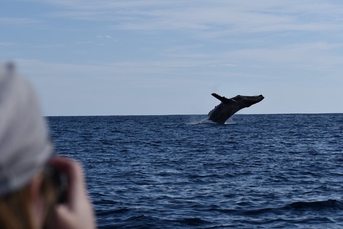 Whale Watching Cabo-Women crew-Sightings Guaranteed & Free Photos - What the included photos are worth