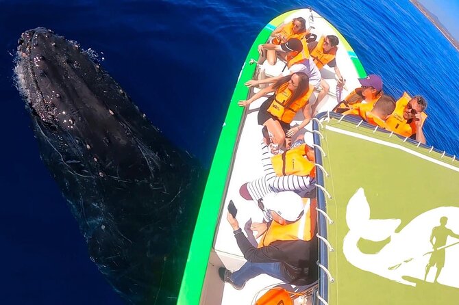 Whale Watching Cabo-Women crew-Sightings Guaranteed & Free Photos - The whale guarantee and the limits of nature