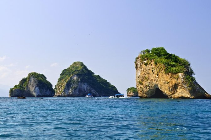 Whale Watching Guaranteed Experience in Puerto Vallarta - Key points to know before booking
