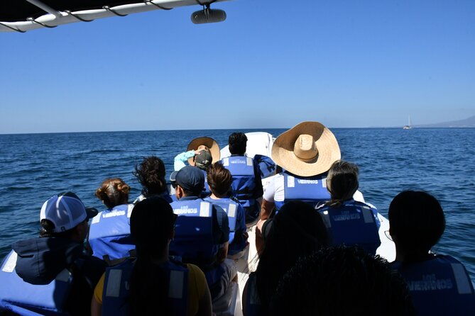 Whale Watching Guaranteed Experience in Puerto Vallarta - The guides make the difference