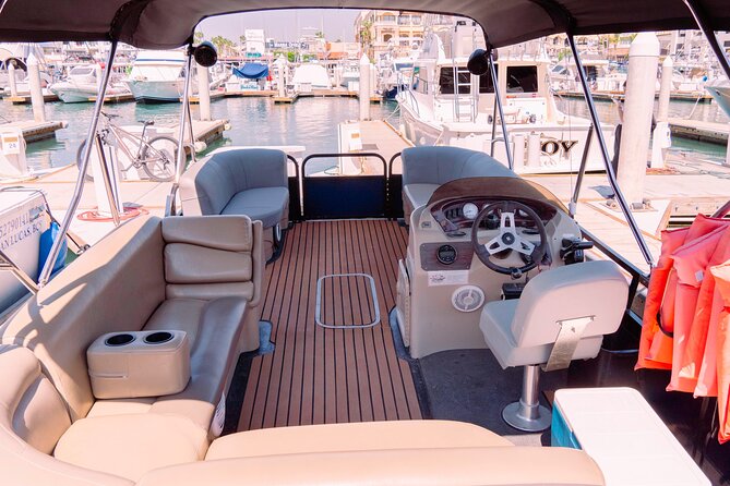 Whale Watching in Cabo San Lucas on board our Luxury Trimaran! - Gray Whales, Humpbacks, and Seasonal Timing